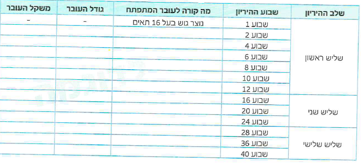 (בספר איור)